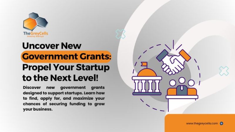 Unlock Government Grants Propel Your Startup to Success