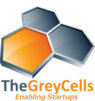 The Grey Cells